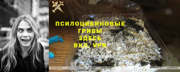 амф Алзамай