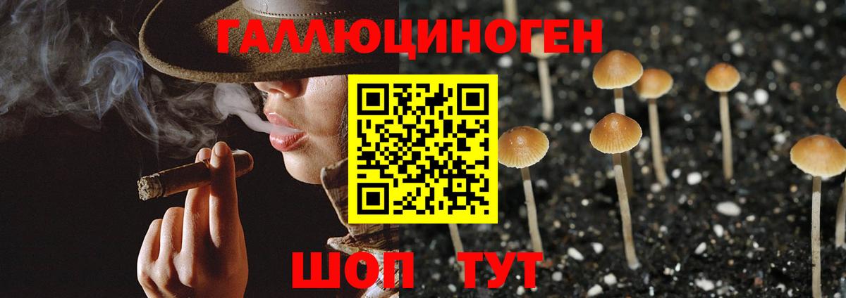 что такое наркотик  Вход с VPN  Новоалтайск  Галлюциногенные грибы мухоморы  Псилоцибиновые грибы Cubensis 
